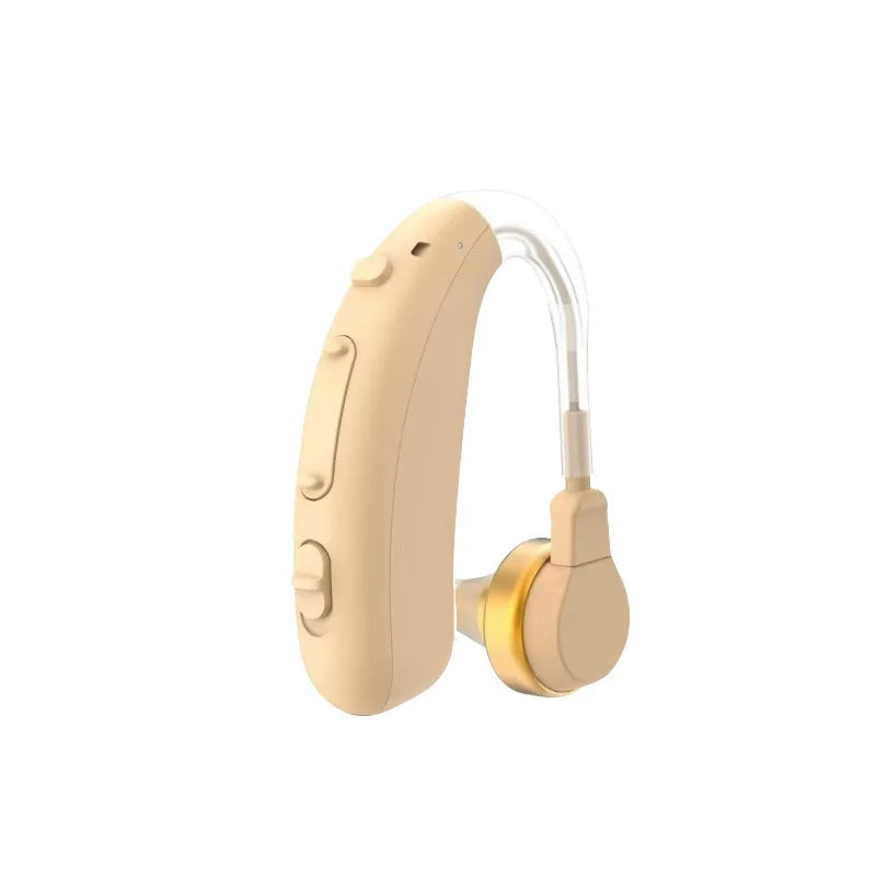 H20 Hearing Aid
